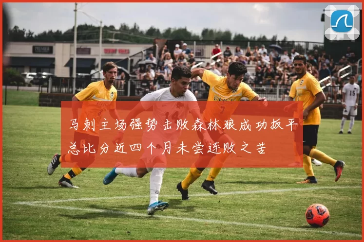 马刺主场强势击败森林狼成功扳平总比分近四个月未尝连败之苦